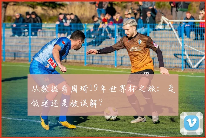 从数据看周琦19年世界杯之旅：是低迷还是被误解？