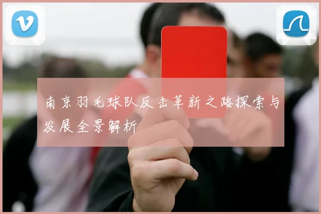 南京羽毛球队反击革新之路探索与发展全景解析