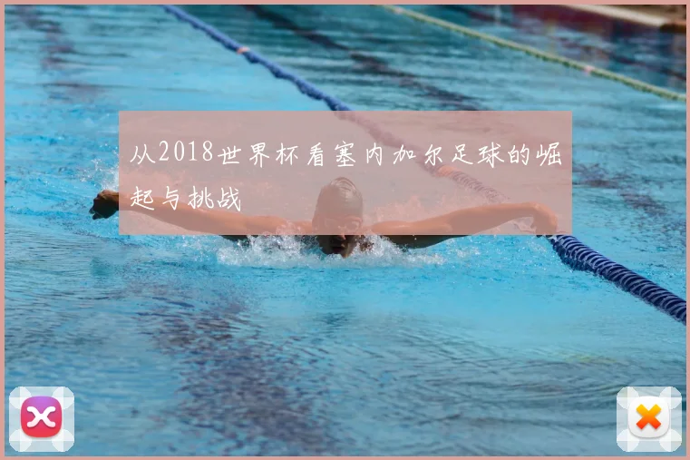 从2018世界杯看塞内加尔足球的崛起与挑战