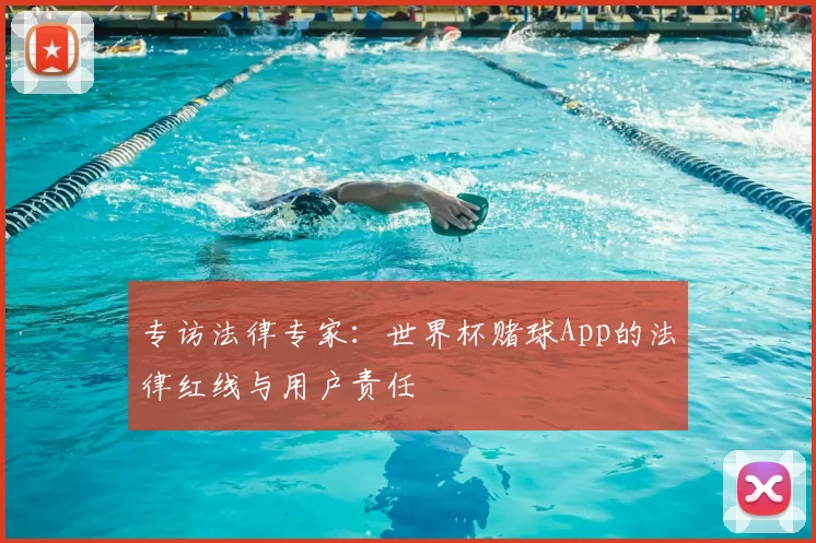 专访法律专家：世界杯赌球App的法律红线与用户责任