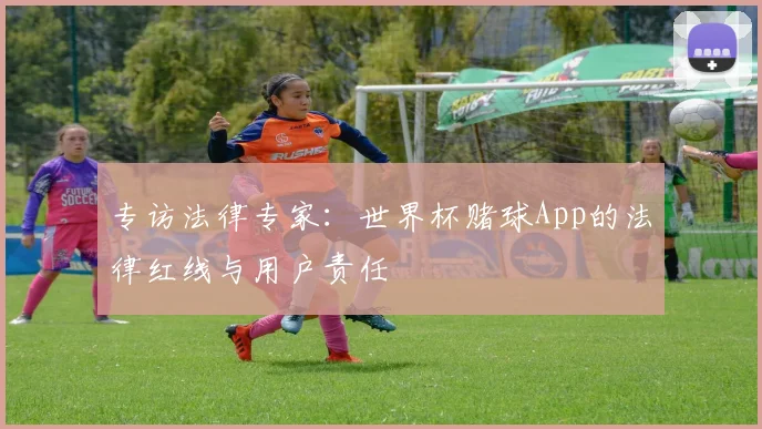 专访法律专家：世界杯赌球App的法律红线与用户责任