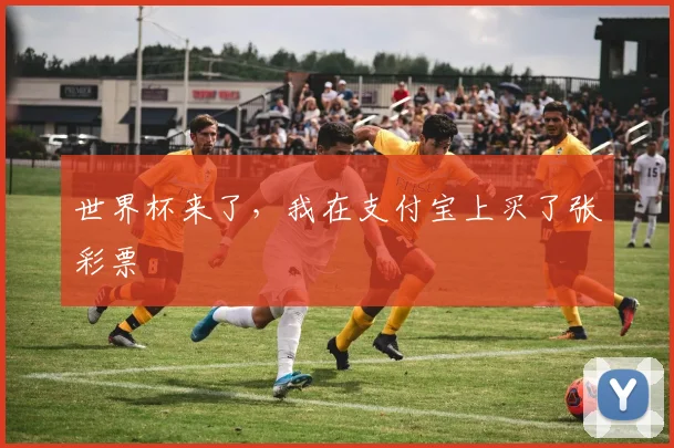 世界杯来了，我在支付宝上买了张彩票