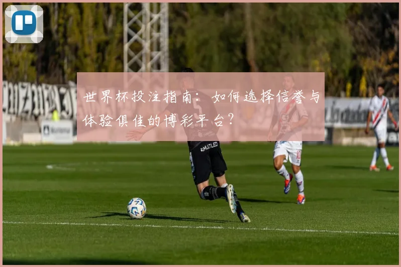 世界杯投注指南：如何选择信誉与体验俱佳的博彩平台？