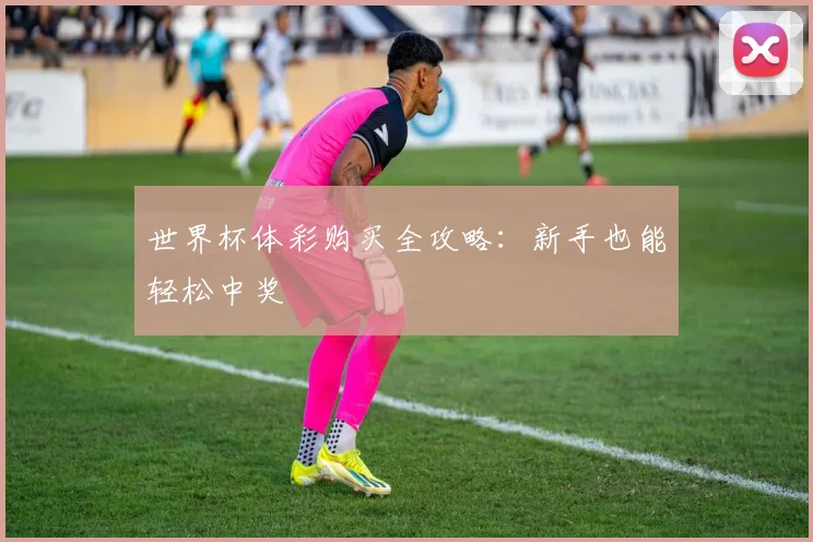 世界杯体彩购买全攻略：新手也能轻松中奖