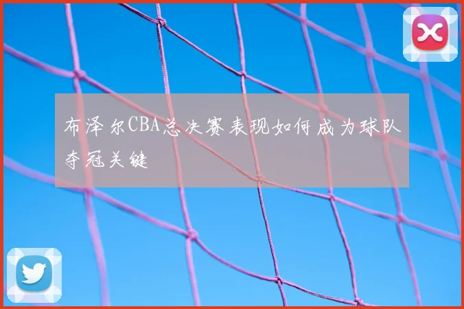 布泽尔CBA总决赛表现如何成为球队夺冠关键