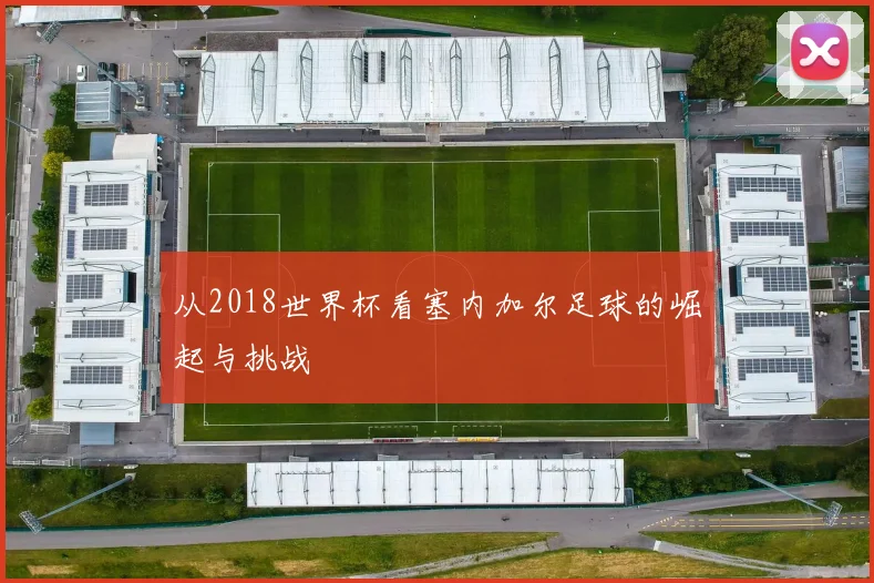 从2018世界杯看塞内加尔足球的崛起与挑战