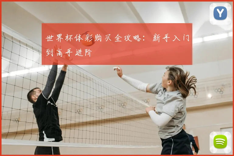 世界杯体彩购买全攻略：新手入门到高手进阶