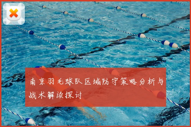 南京羽毛球队区域防守策略分析与战术解读探讨