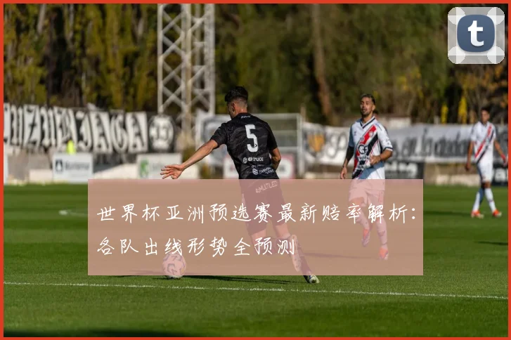 世界杯亚洲预选赛最新赔率解析：各队出线形势全预测