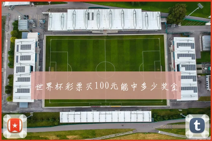 世界杯彩票买100元能中多少奖金